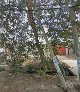 EPEC Escuela para entrenadores caninos