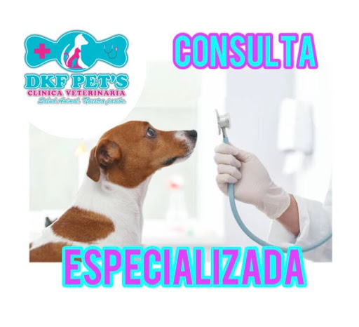 DKF PETS CLINICA VETERINARIA