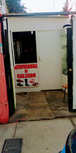 Renovadora De Calzado (zapateria)