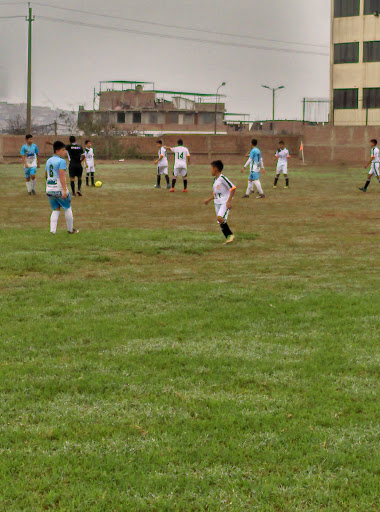 Liga De Futbol De Villa El Salvador