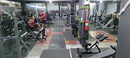 IRON GYM ( 100% FIERRERO ) MANCHAY