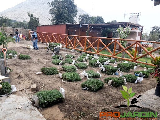 Pro Jardín Empresa de Jardineria y paisajismo